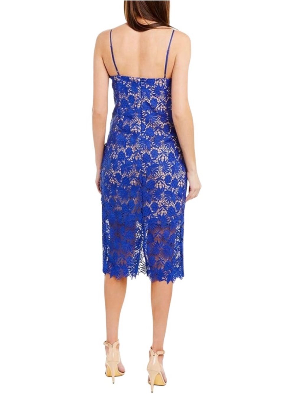 Bardot Royal Blue Lace Floral Midi Dress - Picture 3 of 13